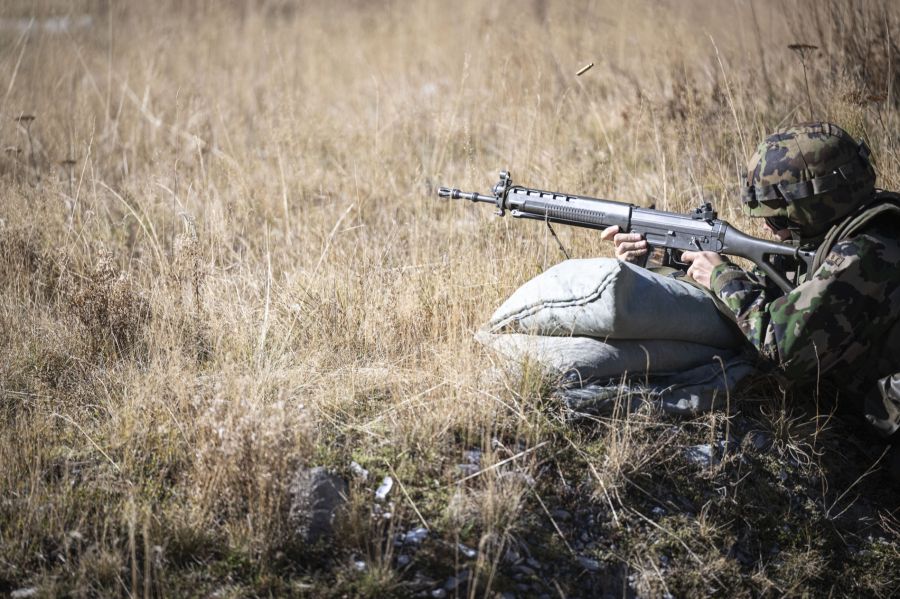 Die Freiwilligen könnten etwa Nachrichten beschaffen und Geländeteile sichern.