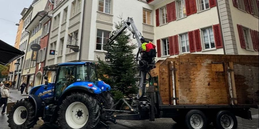 Tannenbaum