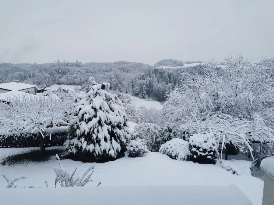 Schnee wohin das Auge reicht in St. Antoni FR.