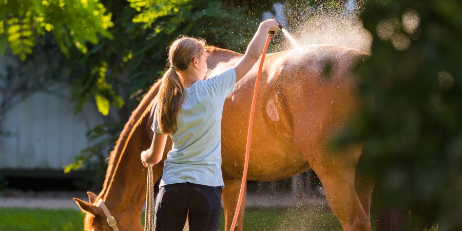 Pferd Mädchen Wasser Sommer