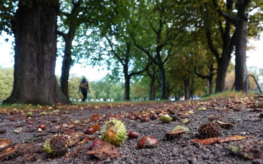 Ein klassischer Herbstspaziergange liegt an diesem Wochenende noch nicht drin.