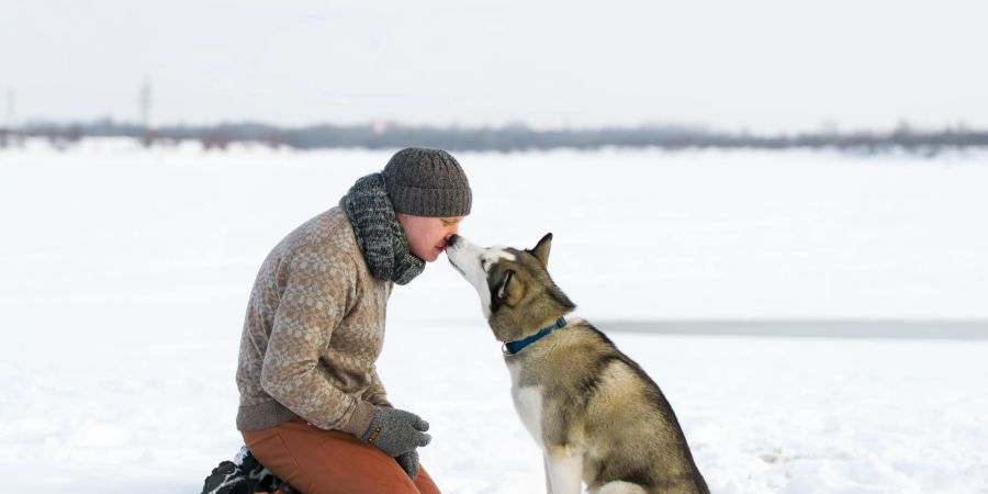 Mann Husky im Schnee