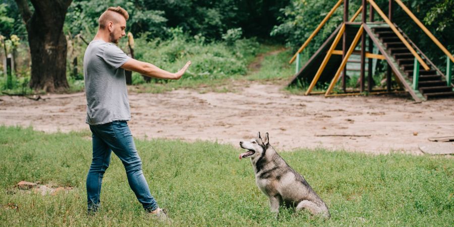 Mann trainiert Hund