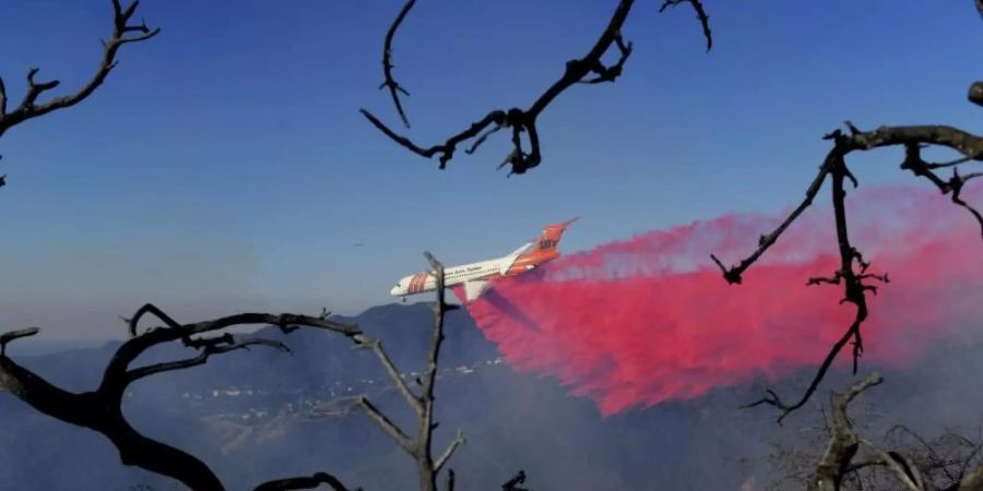 Verheerende Waldbrände fressen sich immer weiter durch Teile Kaliforniens. Foto: Christian Monterrosa/AP/dpa