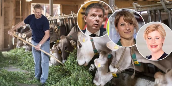 Bauern & Professoren - Diese Berufe dominieren im neuen Nationalrat