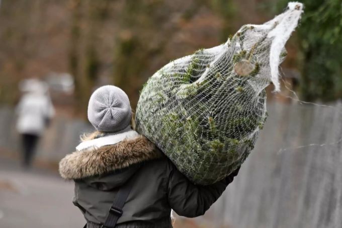 Der Winter hat offiziell begonnen, auch bis Weihnachten ist es nicht mehr weit. winteranfang 2019