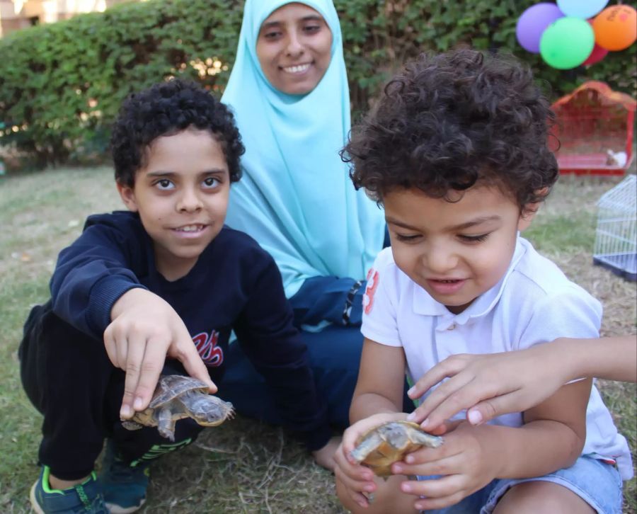 Schildkröten-Wettrennen im Sudan