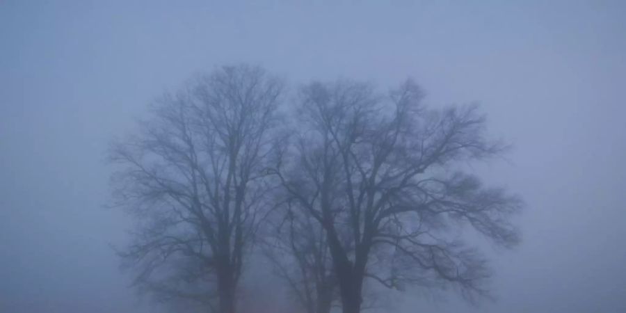 wetter nebel