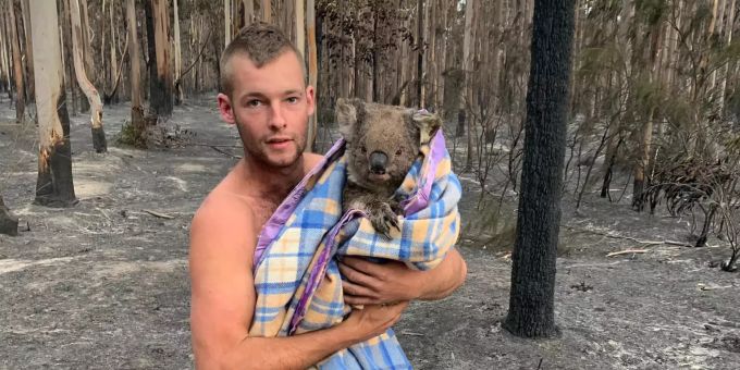 Verkohlte Gebiete - Australischer Jäger wird für Koala-Rettung gefeiert
