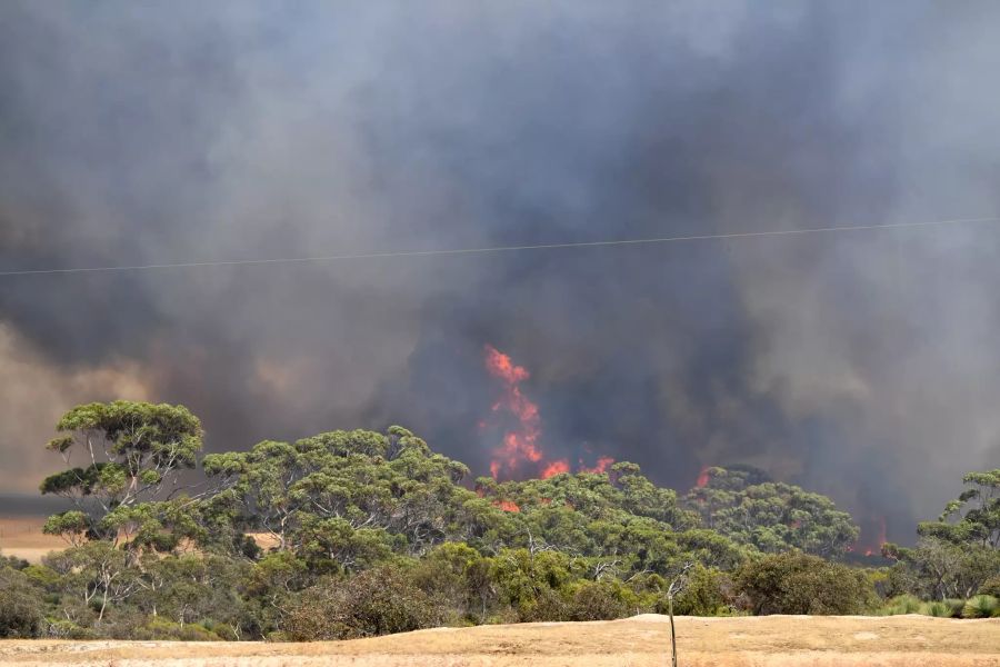 Brushfires Australia