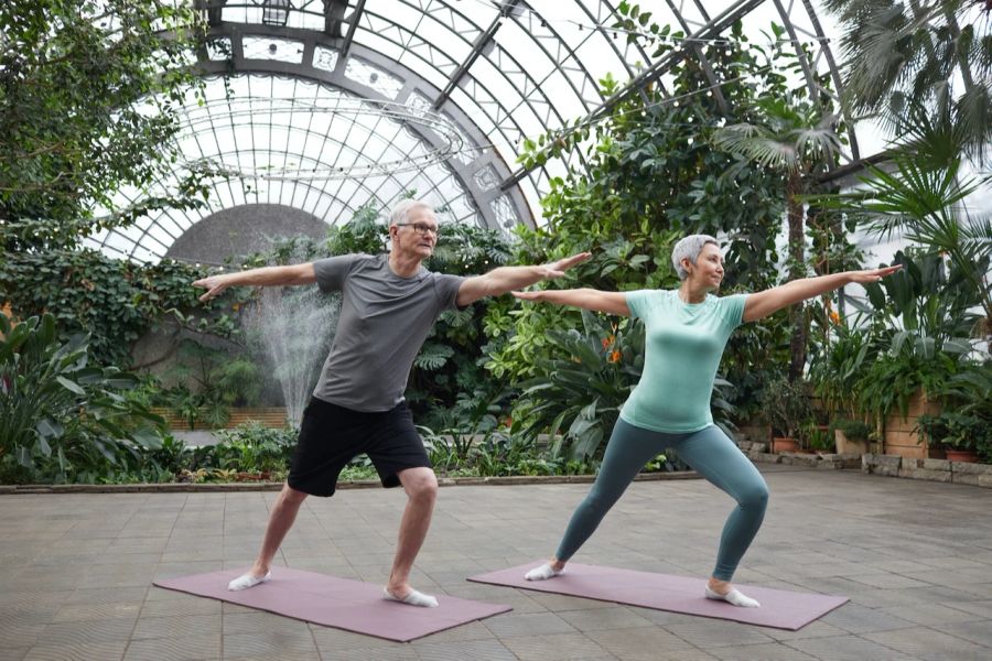 Frau Mann Alter Yoga Übungen Grün Natur