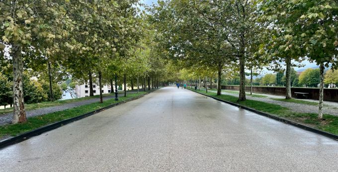 Die Stadtmauer von Lucca ist über vier Kilometer lang. Lucca