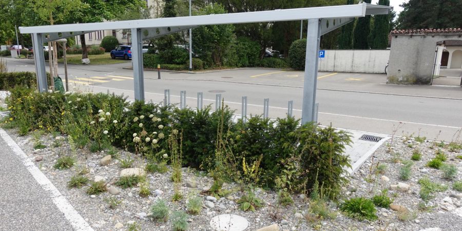 Vorteil naturnah beim Friedhofparkplatz.