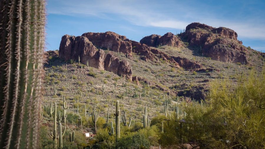 Peralta Regional Park Arizona