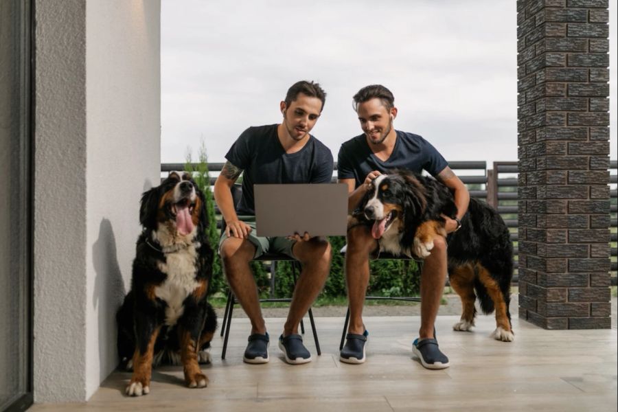 Hunde Männer Zwillinge Laptop