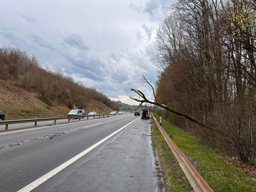 Auf der A3 im Kantons Schwyz in der Nähe der Raststätte Fuchsberg ist ein Baum auf die Autobahn gefallen.