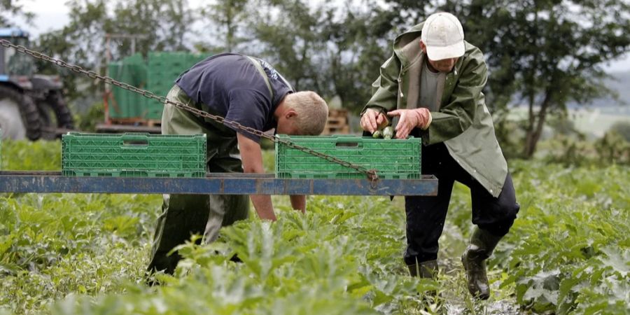 Wetter Landwirtschaft