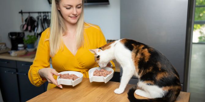 Frau gibt Katze Nassfutter