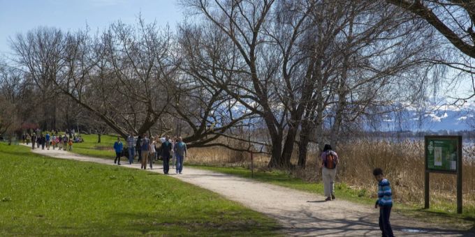 Der Päffikersee ist ein beliebtes Ausflugsziel. Parkplätze