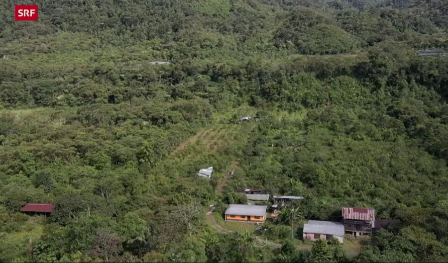 Auf dem Land der Alvarados sollen Häuser für Flut-Betroffene entstehen.