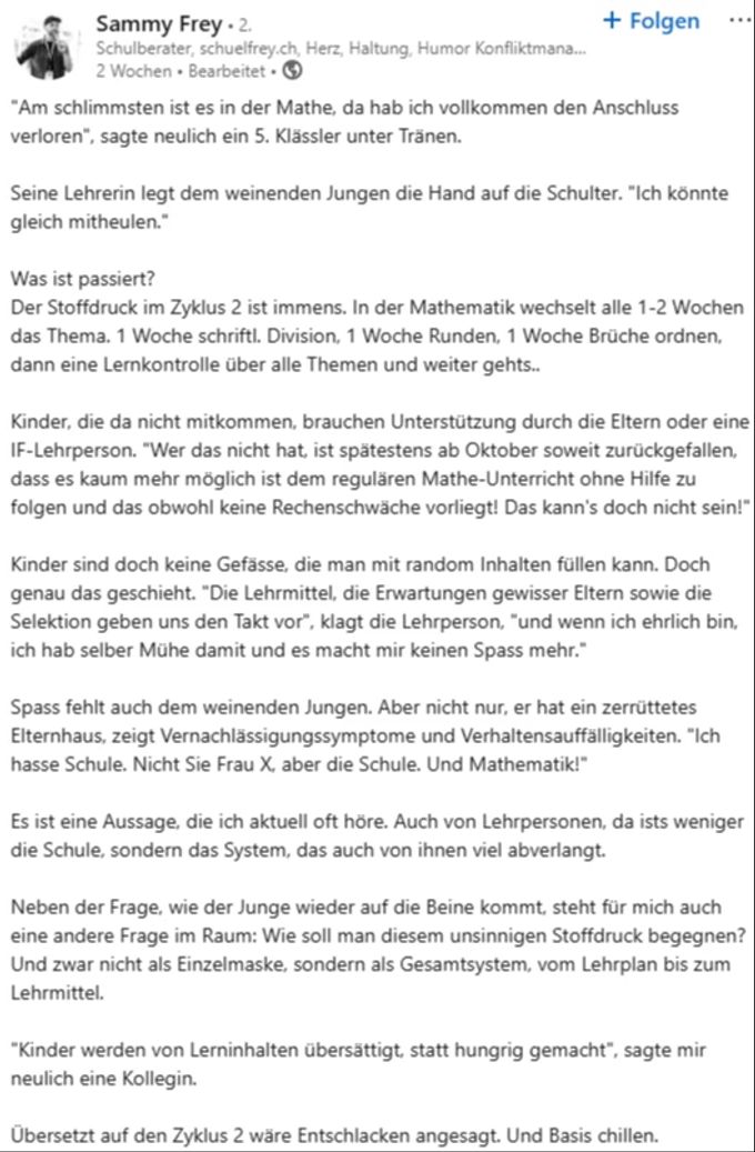 Der Zürcher Schulberater Sammy Frey widmete Mathe einen längeren Linkedin-Post, Schulberater Sammy Frey