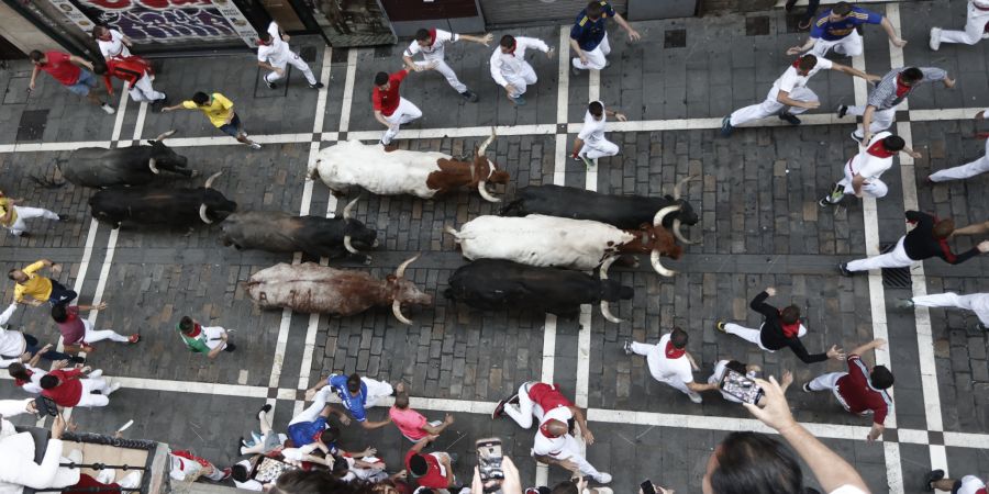 Running of the Bulls at Pamplona's San Fermin festival