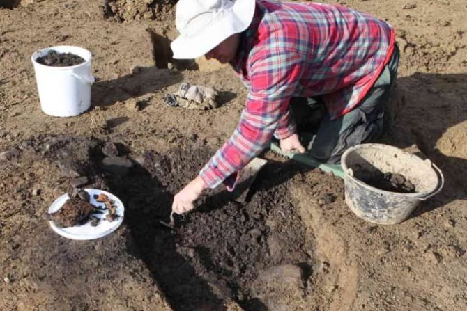 Ausgrabungen Boswil Archäologie Skelette