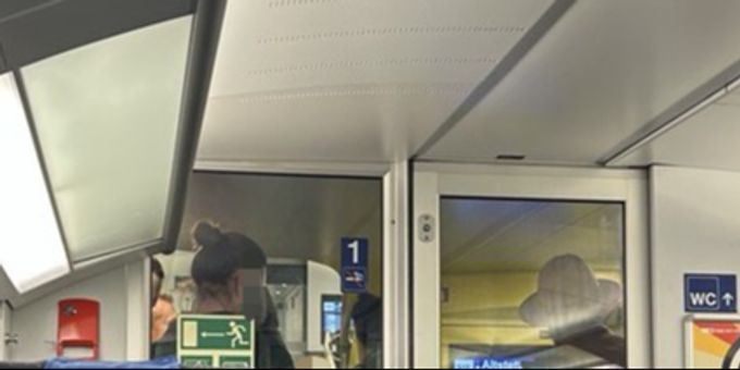 Das Foto der Nau.ch-Leserin zeigt zwei der fünf SBB-Kontrolleure. SBB Kontrolleure