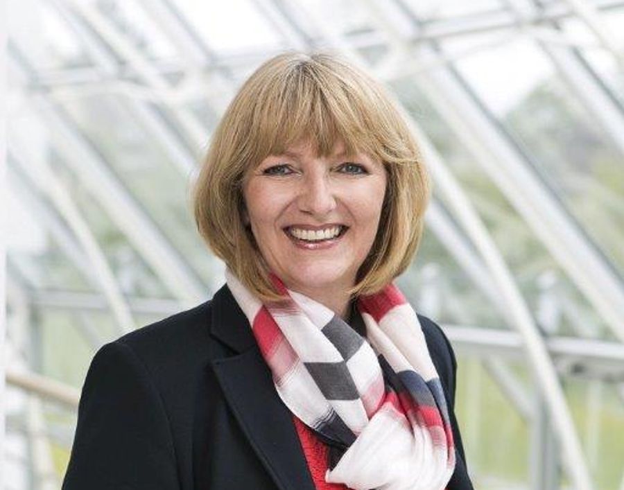 Gudrun Sander HSG
