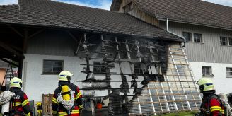 Riedt (Erlen) TG - Beim Unkrautvernichten Unterstand in Brand gesetzt