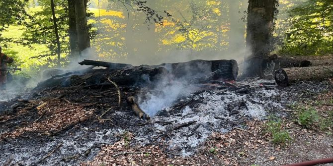 Brand Oberneunforn