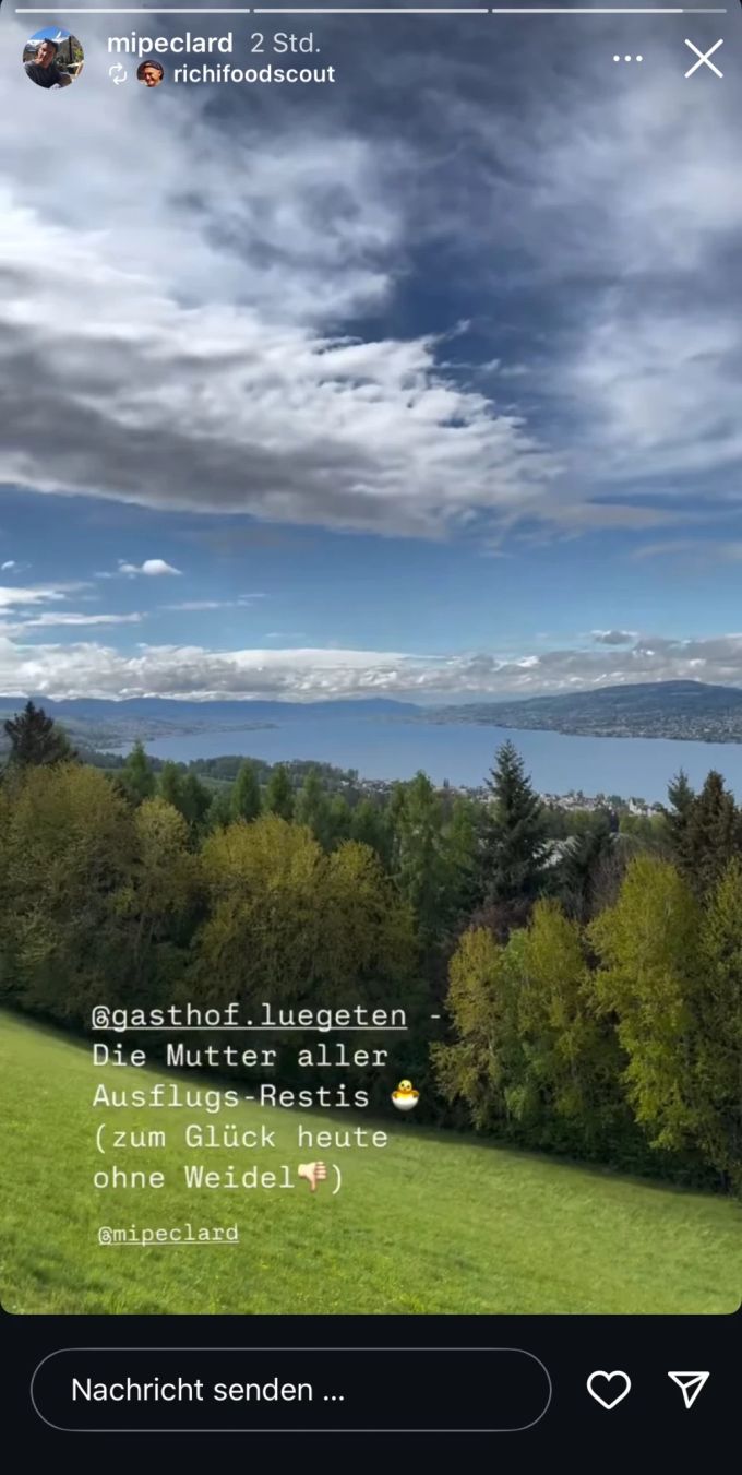 Diesen kritischen Beitrag von Kochbuchautor Richard Kägi über Alice Weidel hat Gastronom Michel Péclard auf seinem Instagram-Profil reposted. Alice Weidel