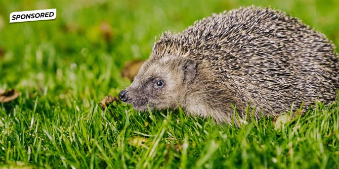 Verein pro Igel