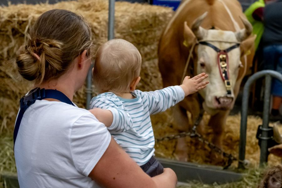 Wie es sich für eine Ausstellung mit Schwerpunkt Landwirtschaft gehört, dürfen auch tierische Publikumslieblinge nicht fehlen.