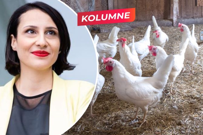 Vegan-Kolumne