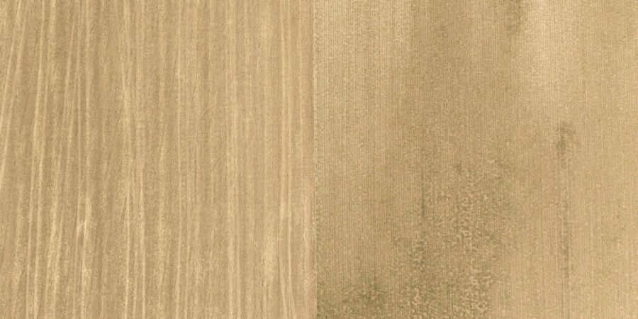 Der ausserordentliche Sommer 2026 trocknete die Böden stark aus. Nun will die Baselbieter Regierung handeln. Vorgesehen sind gemäss Mitteilung zinslose Darlehen zwischen 10'000 und 50...