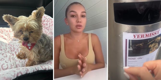 hund