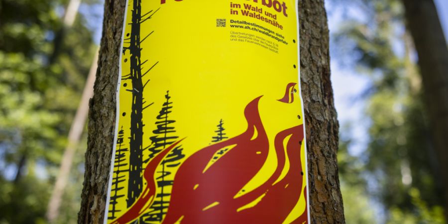 Im Kanton Zürich gilt ab Freitagmittag ein Feuerverbot im Wald und in Waldesnähe. Grund dafür ist die anhaltende Trockenheit. (Symbolbild)
