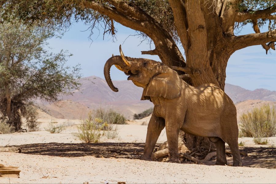 Namibia