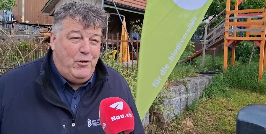 Ferdi Hodel