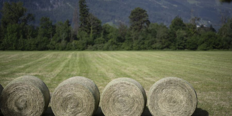 In Nesslau im Kanton St. Gallen ist ein Landwirt von einem Heuballen eingeklemmt und dabei schwer verletzt worden. (Symbolbild)