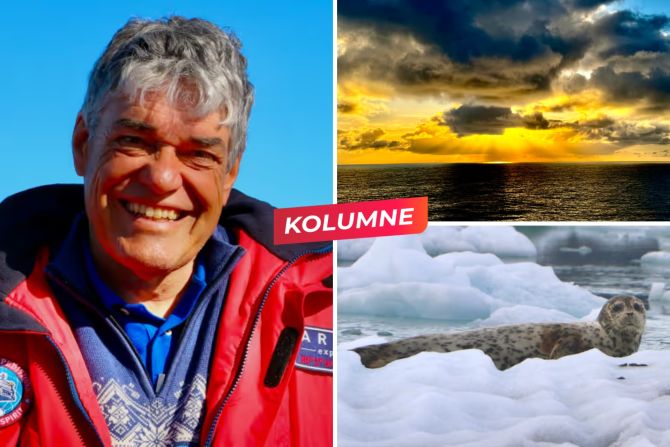 blumer kolumne