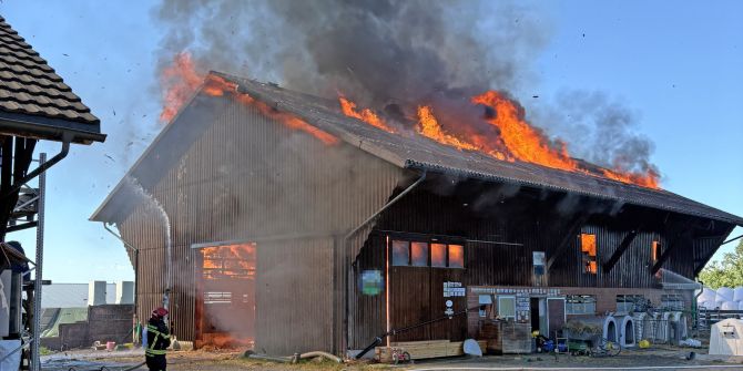 Schoenholzerswilen Brand