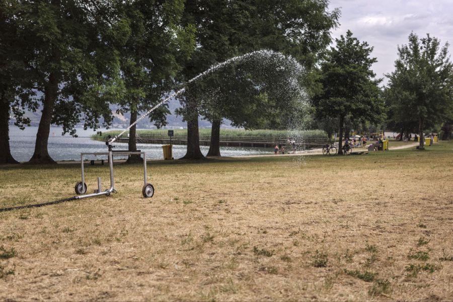 Für diese Woche wurden erneut Temperaturen von über 30 Grad angekündigt.