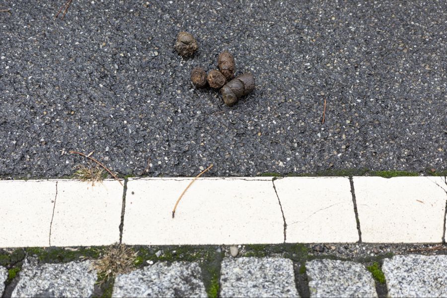 Ist der Haufen braun, ist laut dem Plakat «alles bestens».