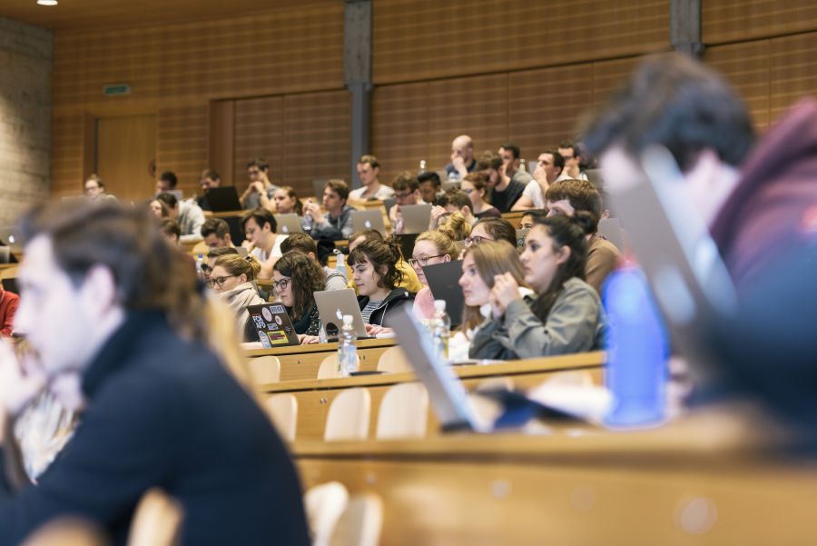 Viele Studierende entscheiden sich für Informatik oder Mathematik und gegen Geisteswissenschaften, aus Angst vor Arbeitslosigkeit nach dem Studium.
