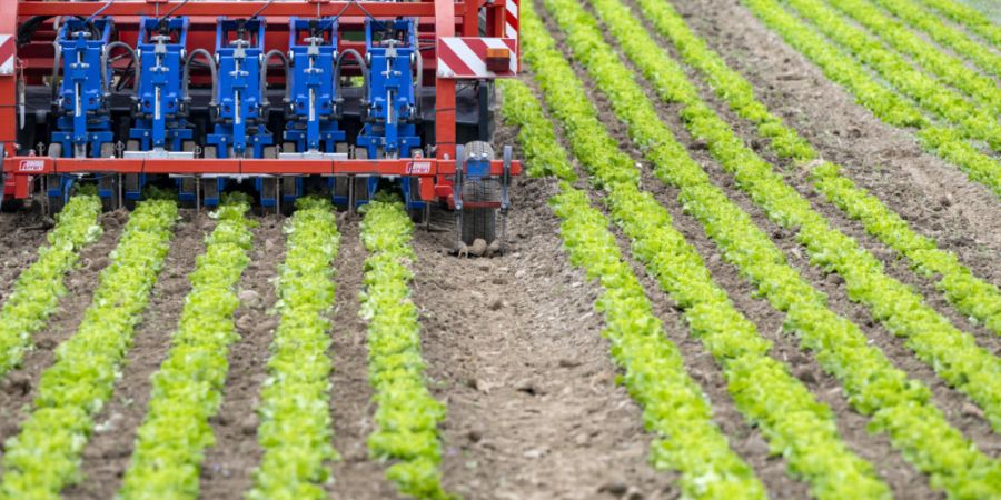 Die Sicherstellung von ausreichenden Wasservorräten für die Landwirtschaft ist eines der Ziele des Thurgauer Klima-Massnahmenplans. (Archivbild)
