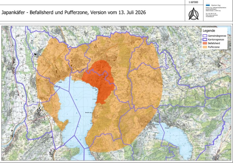 Gebietsabgrenzung (Befallsherd und Pufferzone). In diesen Zonen gelten seitdem 15. Juli Massnahmen zur Bekämpfung und Tilgung des Japankäfers.