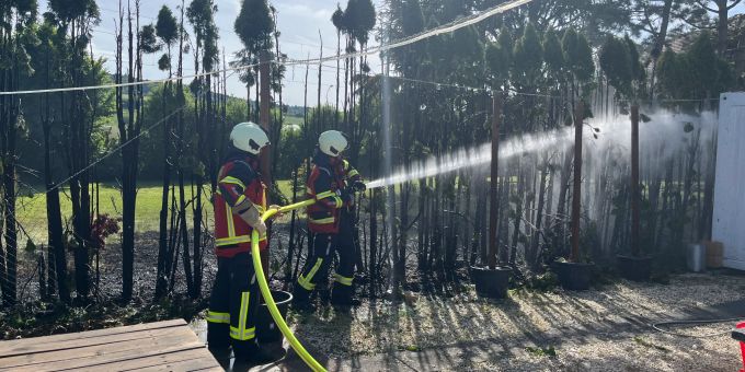 Eschenz TG - Hecke in Brand geraten