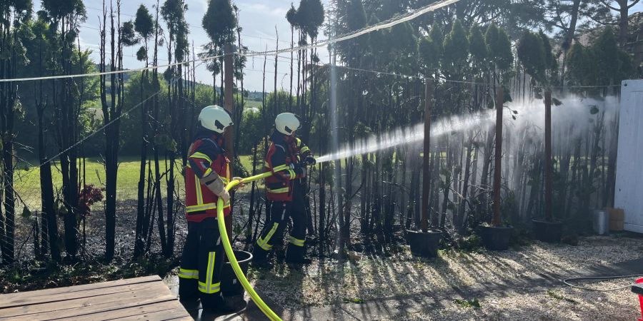 Eschenz TG: Hecke in Brand geraten